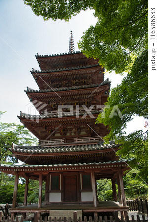 海住山寺(五重塔)　【京都府木津川市加茂町】 116586633
