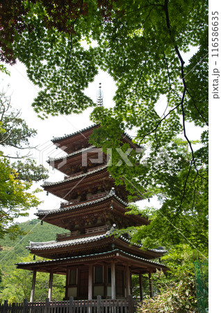 海住山寺(五重塔) 【京都府木津川市加茂町】 海住山寺(五重塔) 【京都府木津川市加茂町】 116586635