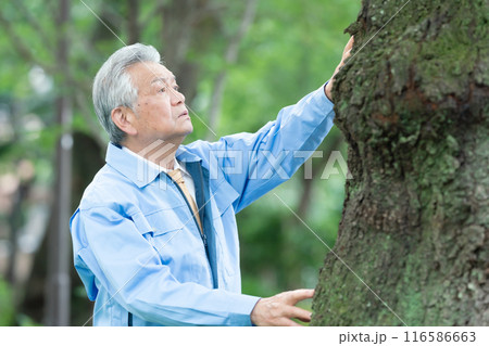 樹木医 作業着の男性 樹木医 作業着の男性 116586663