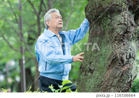 樹木医　作業着の男性 116586664