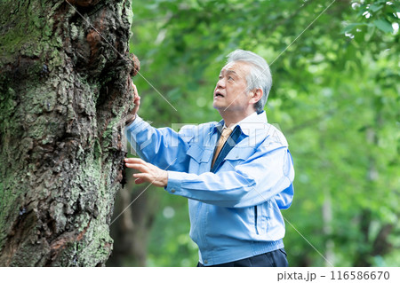 樹木医　作業着の男性 116586670