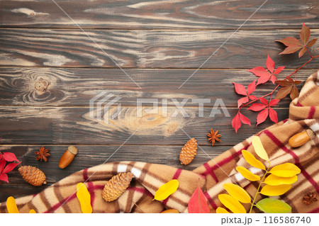Thanksgiving or autumnal holiday background, top view, copy space. Autumnal holiday composition with leaves, star anise, cone and plaid on brown wooden background. 116586740