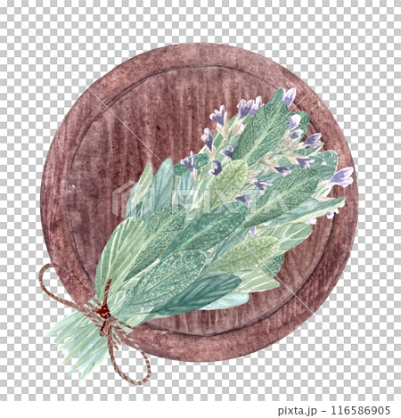 Sage bouquet tide with a jute string on a wooden tray isolated on white. Hand painted high quality composition in watercolor for cards, packages, essential oil, infusions, herbal tea, notebooks design 116586905
