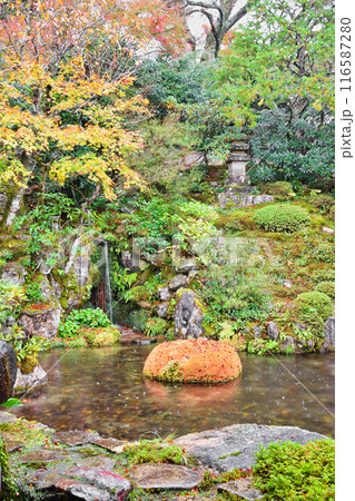 大原　実光院　契心園　美しい秋の紅葉（京都市左京区） 116587280