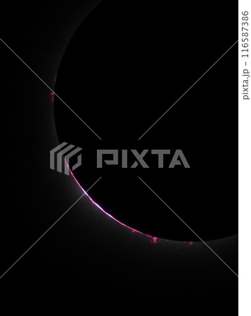 2024年4月8日　メキシコ皆既日食　皆既中のプロミネンスと彩層 116587386