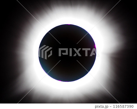 2024年4月8日　メキシコ皆既日食　皆既中のコロナ 116587390