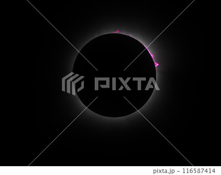 2024年4月8日　メキシコ皆既日食　皆既中のプロミネンスと彩層 116587414