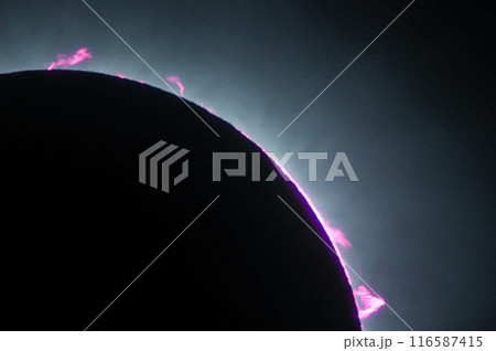 2024年4月8日　メキシコ皆既日食　皆既中のプロミネンスと彩層 116587415