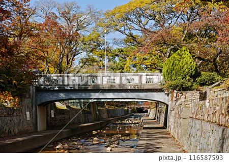 兵庫県西宮市 秋の夙川公園 翠橋 116587593