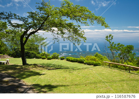 阿彌陀寺(見晴台・月見ヶ原)　【和歌山県那智勝浦町】 116587676