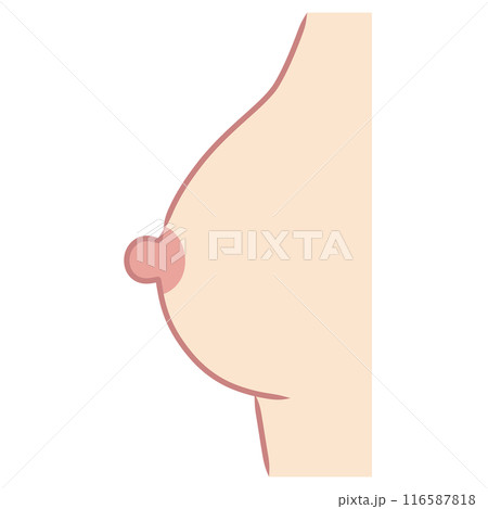 巨大乳頭 横から見た乳房 乳首 バスト 巨大乳頭 横から見た乳房 乳首 バスト 116587818