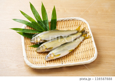 ざるに乗せた鮎 116587888
