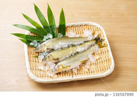 ざるに乗せた鮎 116587890
