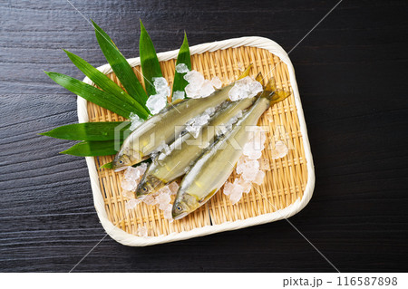 ざるに乗せた鮎 116587898