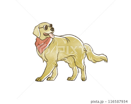 サングラスをかけたゴールデンレトリバー サングラスをかけたゴールデンレトリバー 116587934