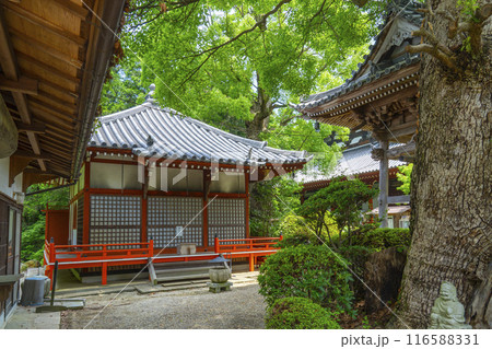 久米寺(奈良県橿原市) 久米寺(奈良県橿原市) 116588331