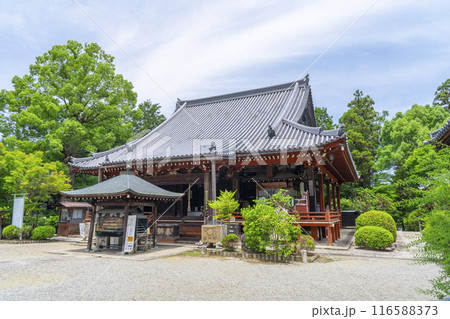 久米寺　本堂（奈良県橿原市久米町） 116588373