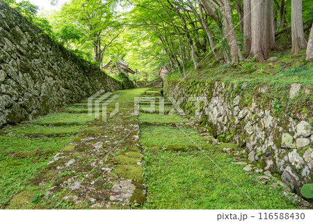 滋賀県東近江市 新緑が美しい百済寺表門と苔むした石段 滋賀県東近江市 新緑が美しい百済寺表門と苔むした石段 116588430
