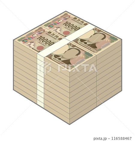 2000万円分の新一万円札の札束 116588467