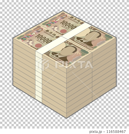 2000万円分の新一万円札の札束 116588467