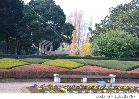 茨城県植物園　2023-11-28　＃7 116588767