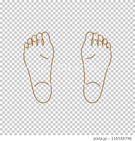 Female feet: illustration of soles of feet (both feet) 116588796