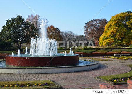 茨城県植物園　2023-11-28　＃15 116589229