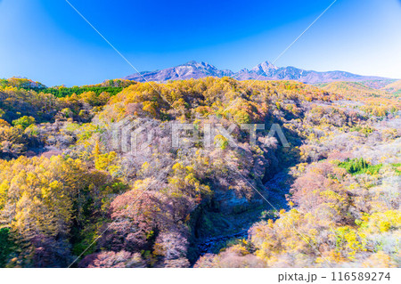 【秋素材】八ヶ岳大橋から見る紅葉時期の八ヶ岳と青空【山梨県】 116589274