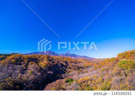 【秋素材】八ヶ岳大橋から見る紅葉時期の八ヶ岳と青空【山梨県】 116589291