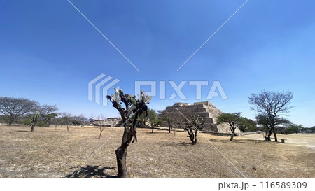 メキシコのピラミッド メキシコのピラミッド 116589309