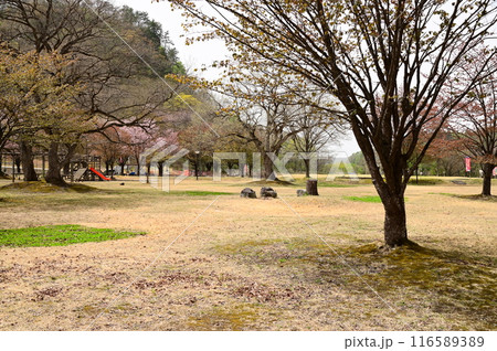 焼地台公園 焼地台公園 116589389