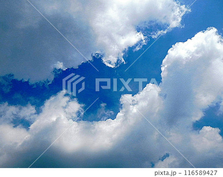 青い空と雲の色 7月の空 青い空と雲の色 7月の空 116589427