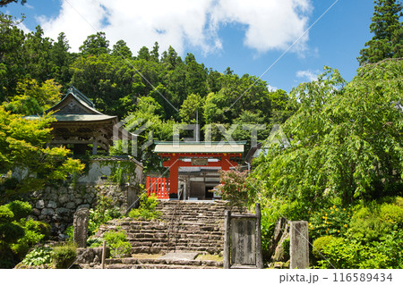 阿彌陀寺(熊野大鳥居門・鐘楼・参道)　【和歌山県那智勝浦町】 116589434