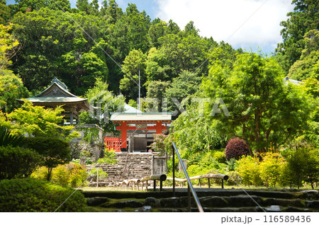 阿彌陀寺(熊野大鳥居門・鐘楼・参道) 【和歌山県那智勝浦町】 阿彌陀寺(熊野大鳥居門・鐘楼・参道) 【和歌山県那智勝浦町】 116589436