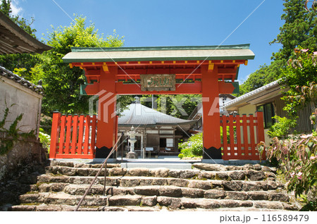 阿彌陀寺(熊野大鳥居門・本堂)　【和歌山県那智勝浦町】 116589479