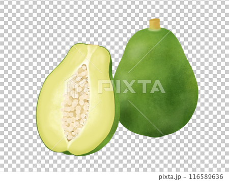 青木瓜 一個半 青木瓜 一個半 116589636