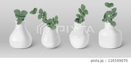 Green eucalyptus leaves in white ceramic vase 116589870