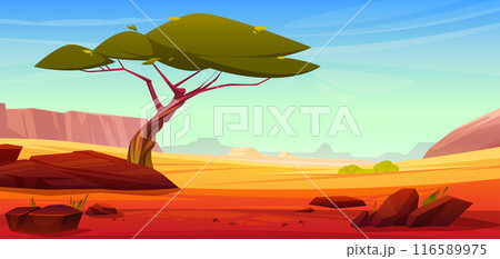 African savannah landscape with green tree 116589975