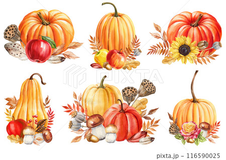 Pumpkin, dry plants, autumn leaves watercolor Isolated. Fall composition set for design, Thanksgiving harvest festivals 116590025
