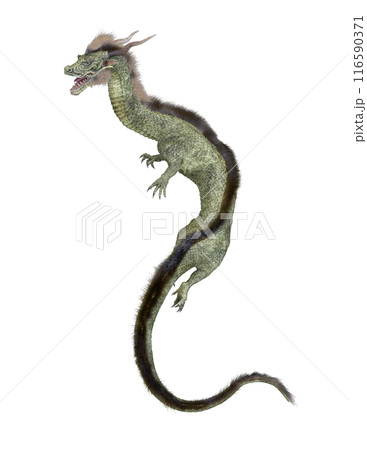 ドラゴン 116590371