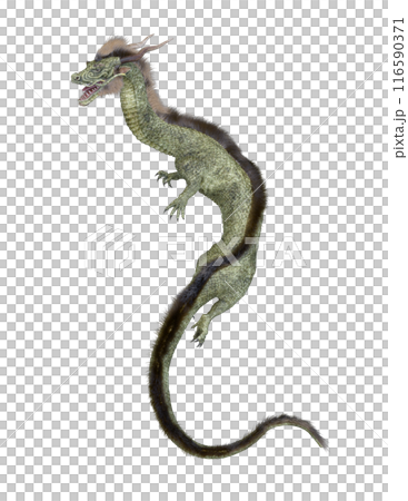 ドラゴン 116590371