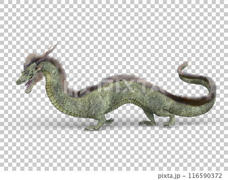 ドラゴン 116590372