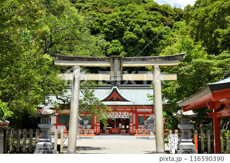 阿須賀神社(鳥居・拝殿) 【和歌山県新宮市】 阿須賀神社(鳥居・拝殿) 【和歌山県新宮市】 116590390