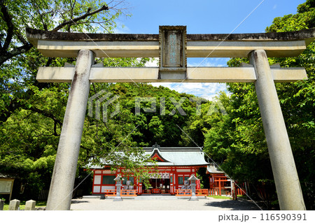 阿須賀神社(鳥居・拝殿)   【和歌山県新宮市】 116590391