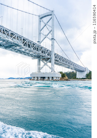 徳島県　観潮船から見る景色　鳴門海峡と大鳴門橋 116590414