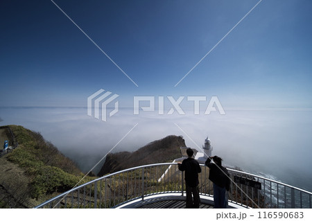 早春の北海道 地球岬展望台から海霧わく太平洋を臨む 早春の北海道 地球岬展望台から海霧わく太平洋を臨む 116590683