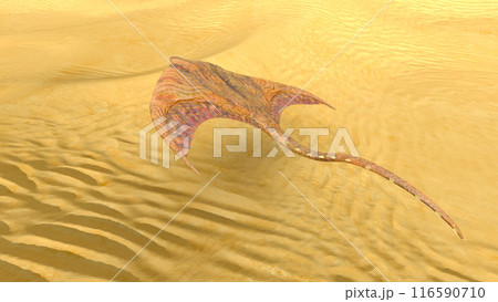 モンスターマンタ 116590710