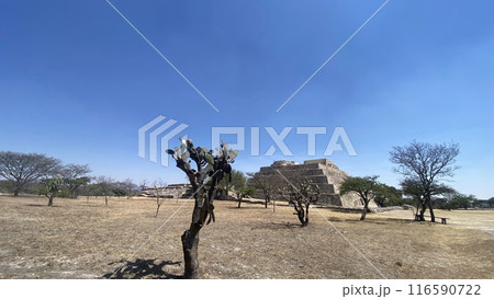メキシコのピラミッド 116590722