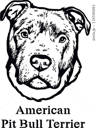 American Pit Bull Terrier - Funny Dog, Vector File, Cut Stencil for Tshirt 116590861