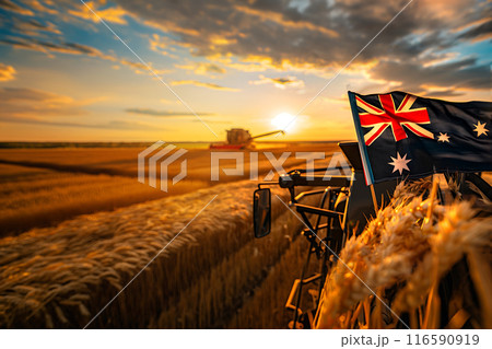 Combine harvester with the Russian flag harvests 116590919